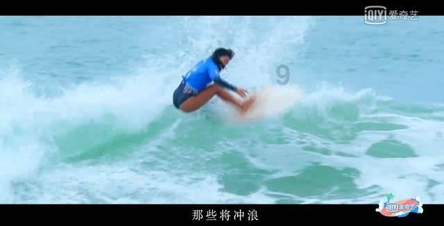 救援狗与猫